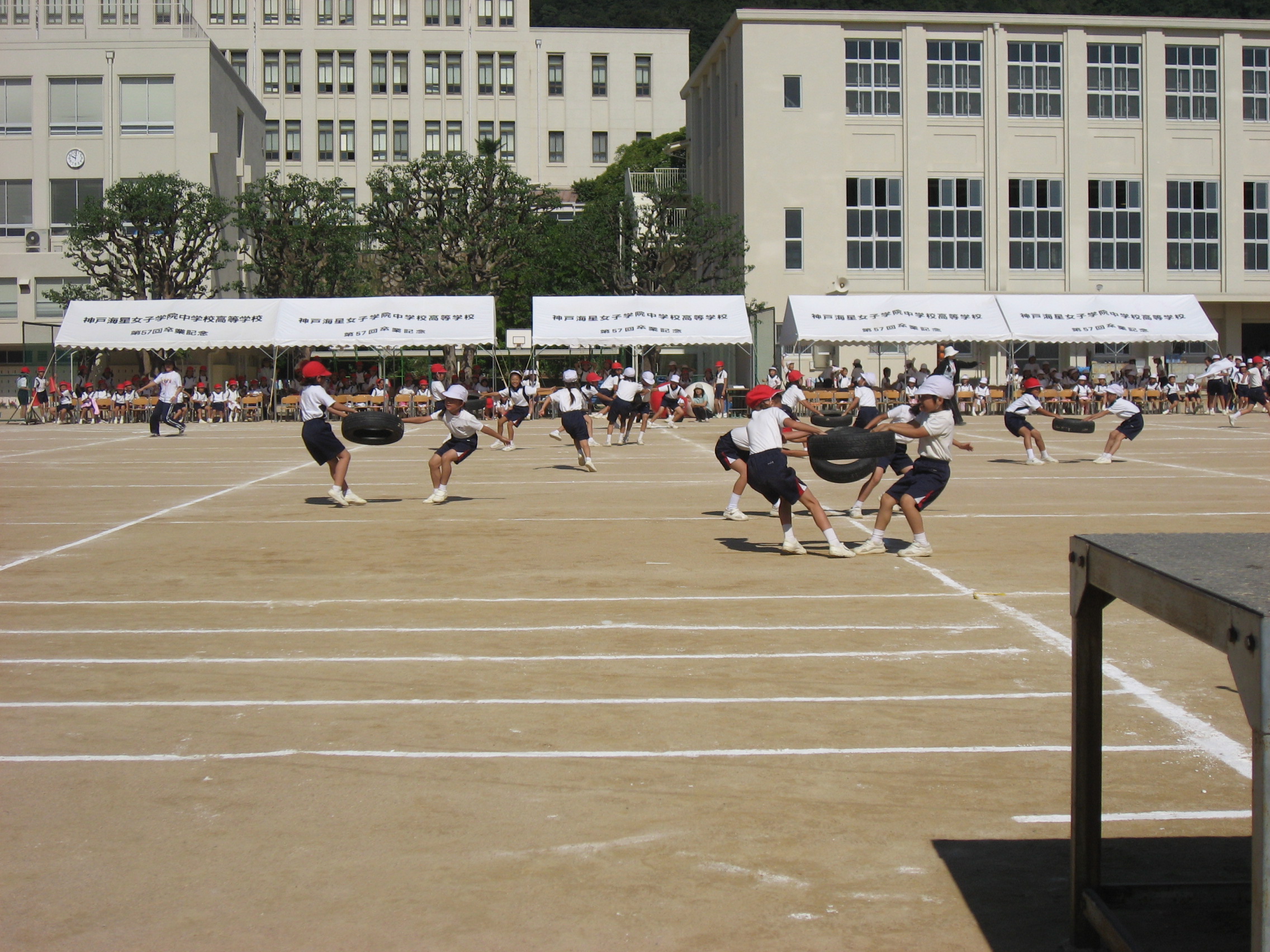 IMG_9298.JPG