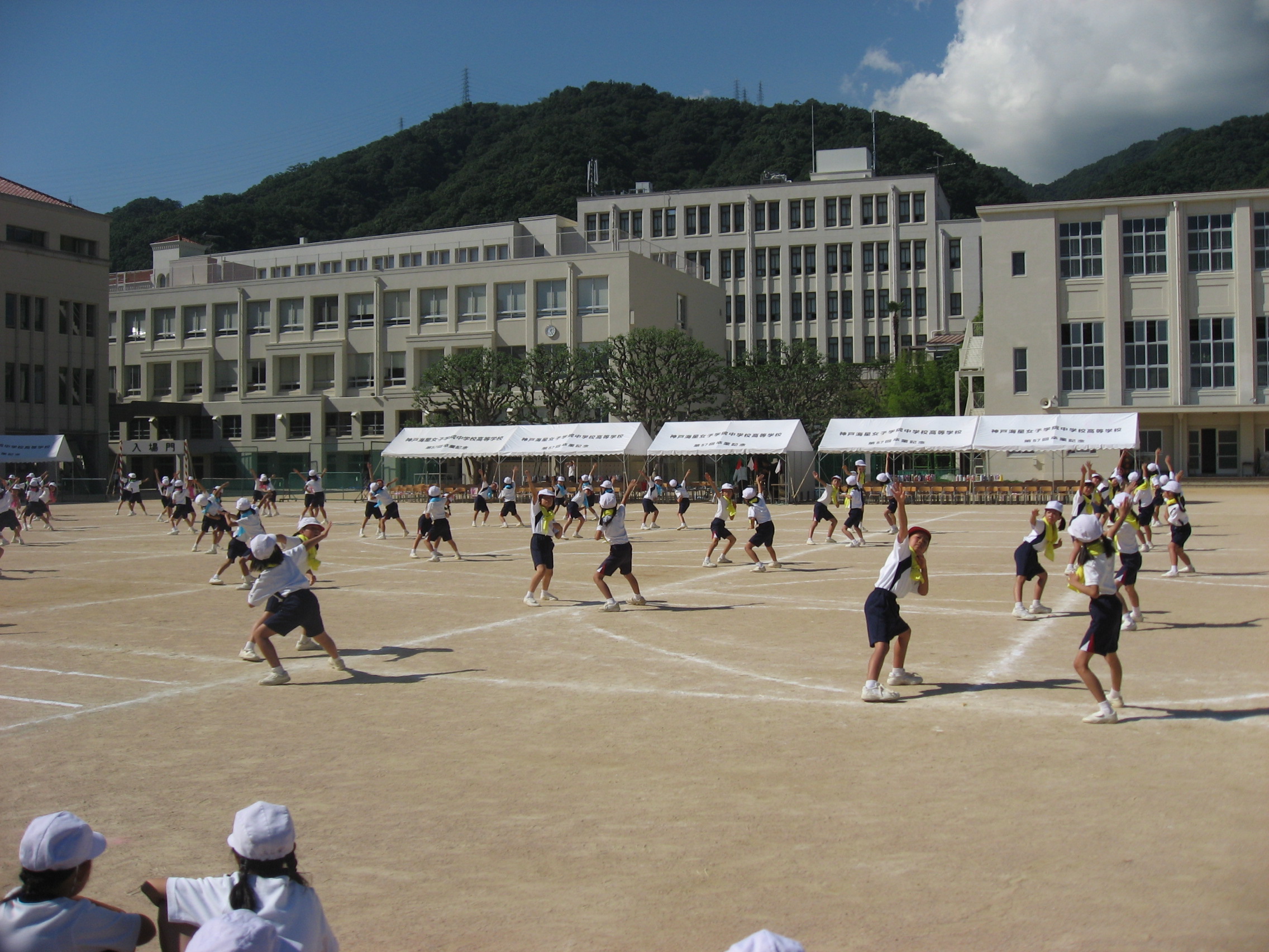 IMG_9399.JPG
