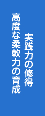 実践力の修得 高度な柔軟力の育成