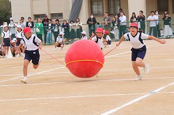 ２０２３年運動会３.jpg