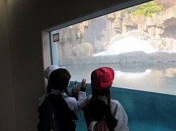 ２０２２年度仲クラ動物園１.jpg