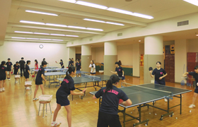 Table Tennis Room