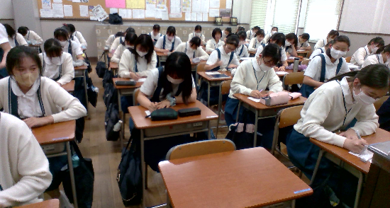 投票.jpg