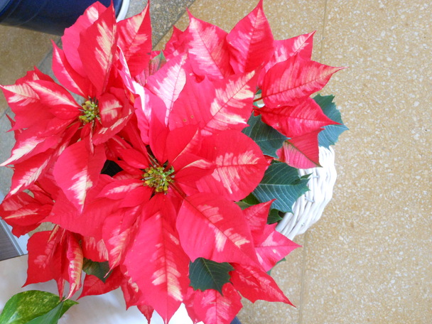DSCN0839.JPG