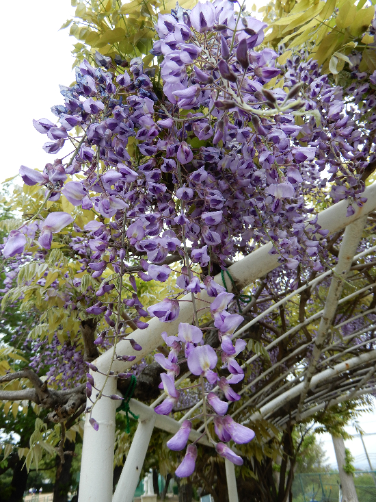 DSCN2992.JPG