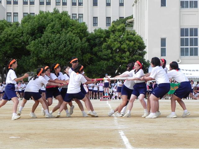 DSCN8246_R.JPG